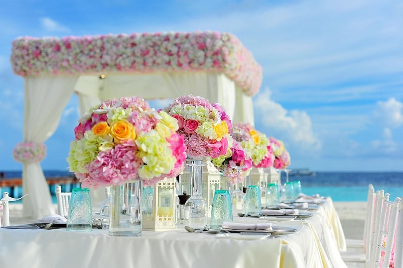 Secret Grove Receptions