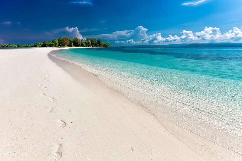 Beachfront Bliss